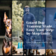 Guard Dog Training Made Easy: Your Step-by-Step Guide