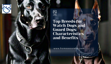 Charcteristics of guard dogs and watch dogs