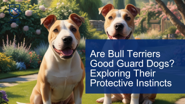 Are Bull Terriers Good Guard Dogs? Exploring Their Protective Instincts