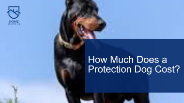 How Much Does a Protection Dog Cost? 