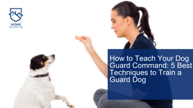 How to Teach Your Dog Guard Command: 5 Best Techniques to Train a Guard Dog