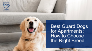 A happy dog lying on Best Guard Dog for Apartment: a soft rug in a cozy apartment living room