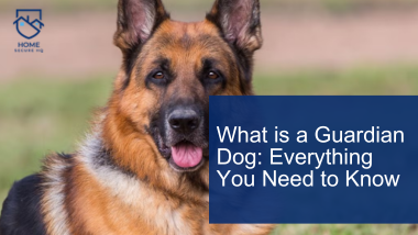 What is a Guardian Dog: Everything You Need to Know